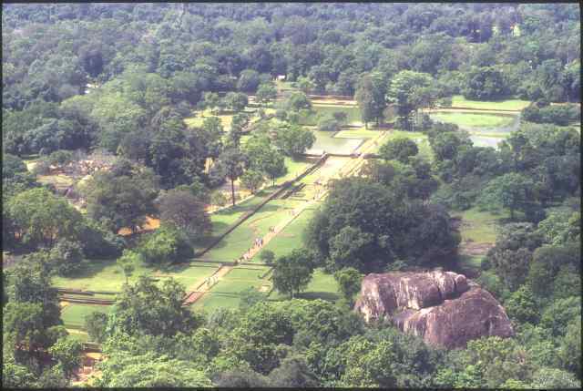 pleasure_gardens_looking_down